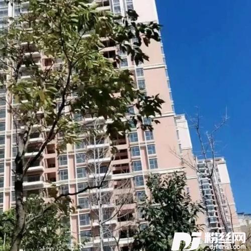 梦想中的婚礼cover:小豆包