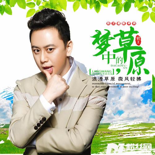 梦中的草原的专辑