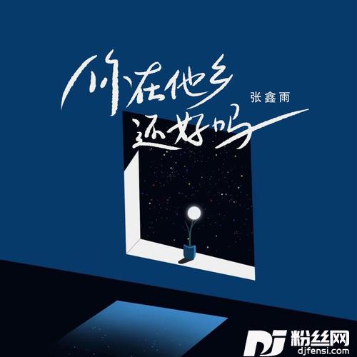 你在他乡还好吗DJ阿远版