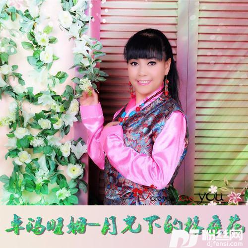 月光下的格桑花
