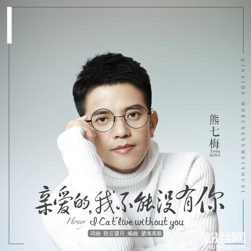 亲爱的我不能没有你的专辑