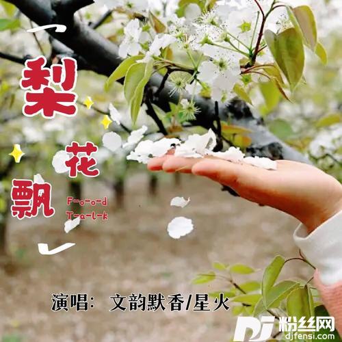 梨花飘cover:星月组合的专辑