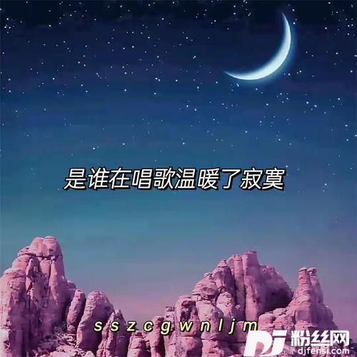 是谁在唱歌温暖了寂寞DJ热播版