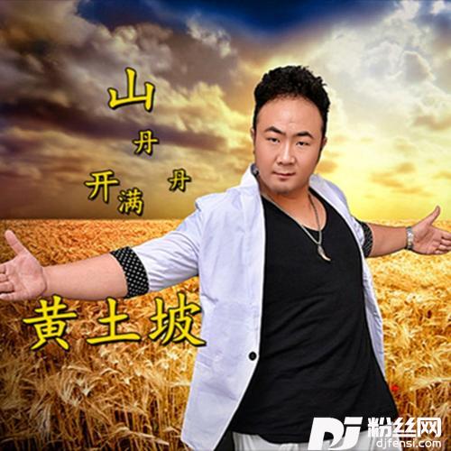 山丹丹开满黄土坡（DJ默涵版）