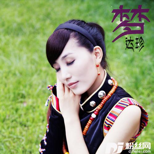 梦的专辑