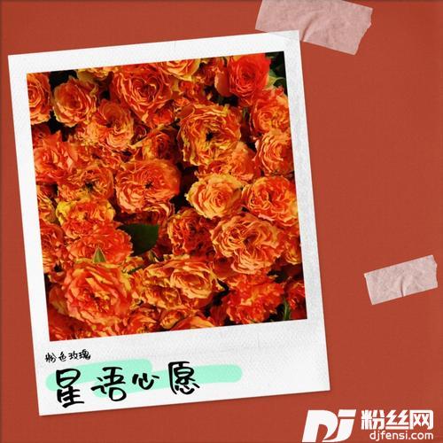星语心愿cover:谭艳