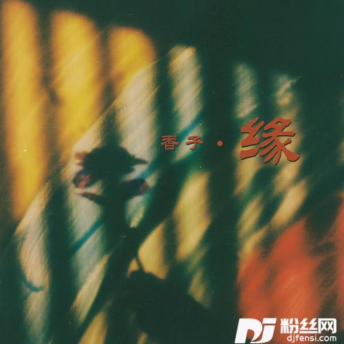 缘DJ版