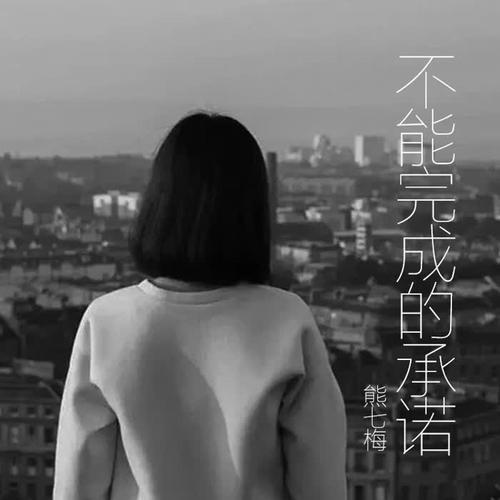 不能完成的承诺的专辑