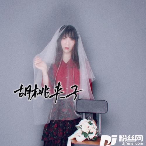 胡桃夹子cover:张碧晨