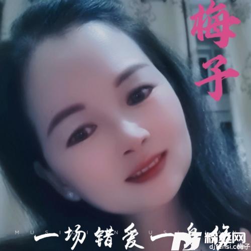 一场错爱一身伤cover:李英的专辑