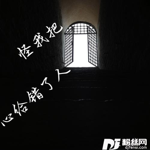 怪我把心给错了人的专辑