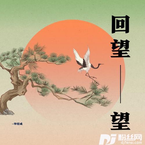 回望cover:王俊凯的专辑