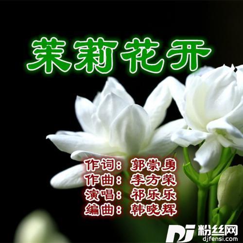 茉莉花开