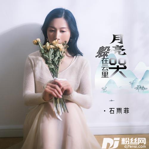 月亮躲在云里哭DJheap九天版