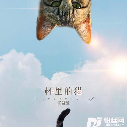 怀里的猫
