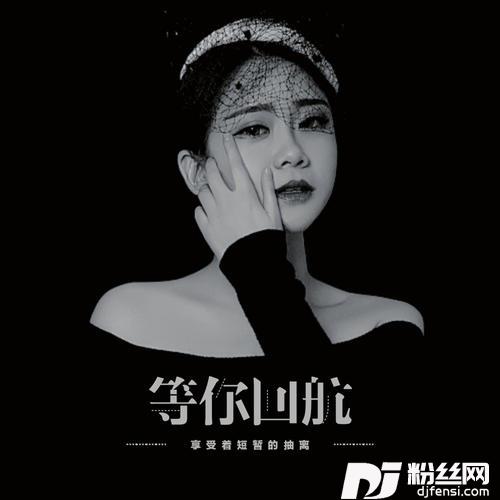 等你归航
