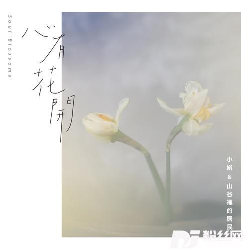 蓝色的窗外