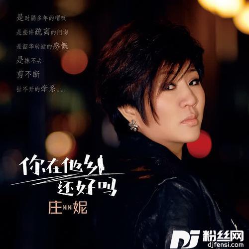 你在他乡还好吗（DJ阿远版）