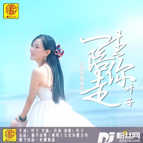 一生陪你走吉特巴舞曲版