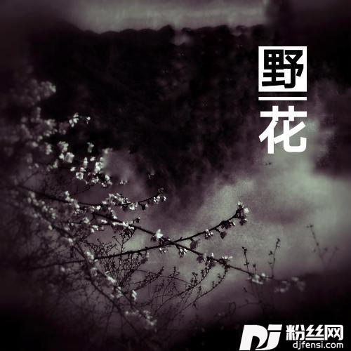 野花的专辑