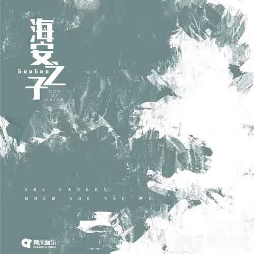 海安之子的专辑