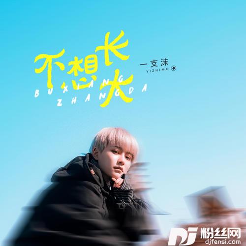 不想长大的专辑