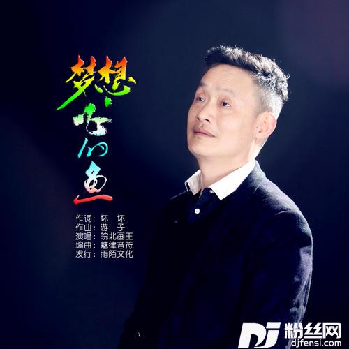 梦想飞的鱼