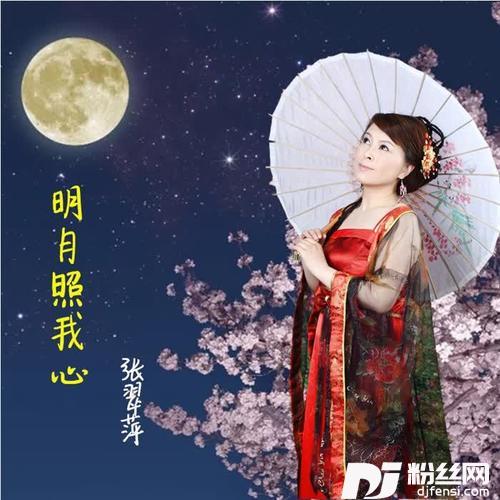 明月照我心