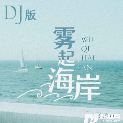 医生DJ版