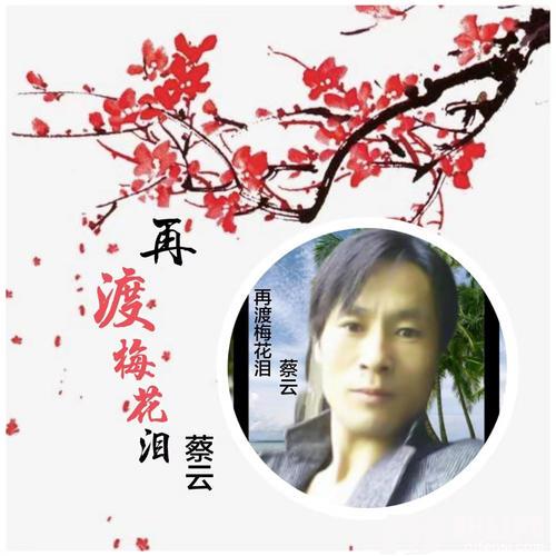 再渡梅花泪的专辑