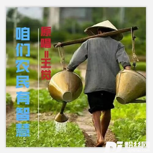 咱们农民有智慧（DJ佐罗版）