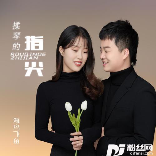 揉琴的指尖DJ版