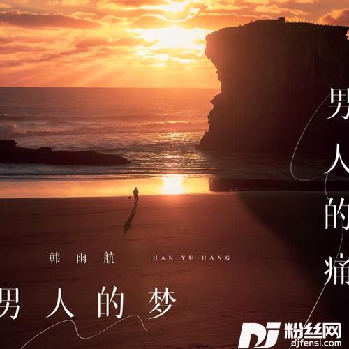 男人的梦男人的痛DJ九零版