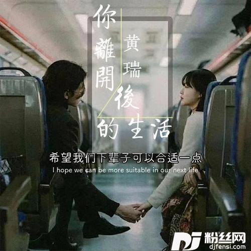 你离开后的生活的专辑