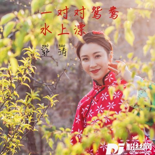 一对对鸳鸯水上漂的专辑