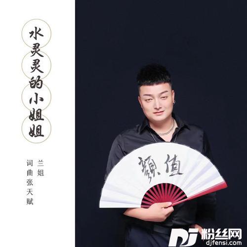 水灵灵的小姐姐（Dj伟然版）的专辑