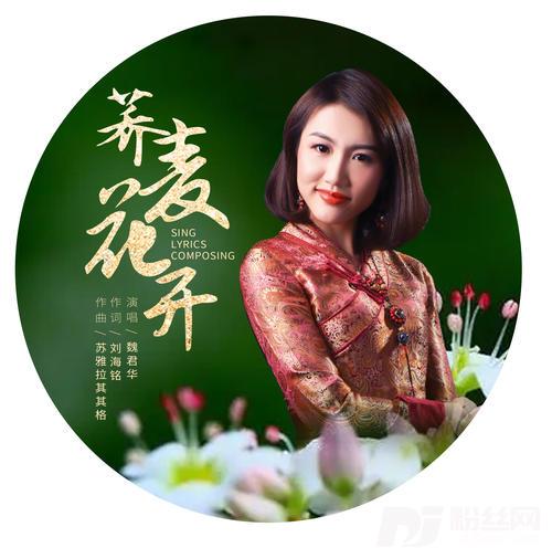 荞麦花开