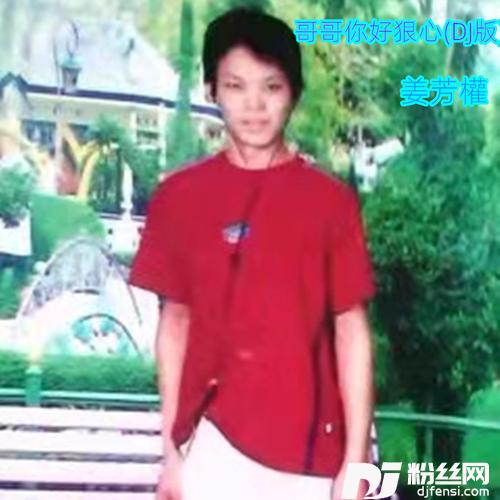 哥哥你好狠DJ版