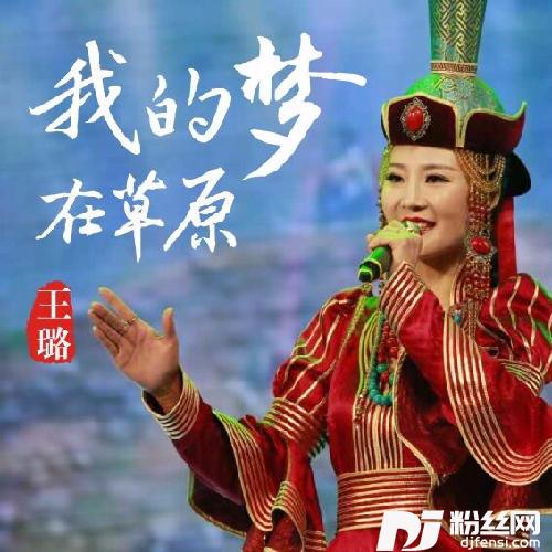 我的梦在草原