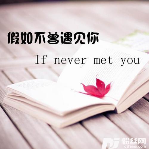 我的爱和梦要你懂的专辑