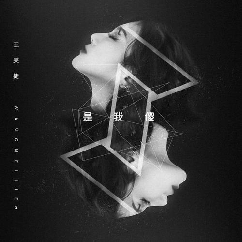 是我傻的专辑