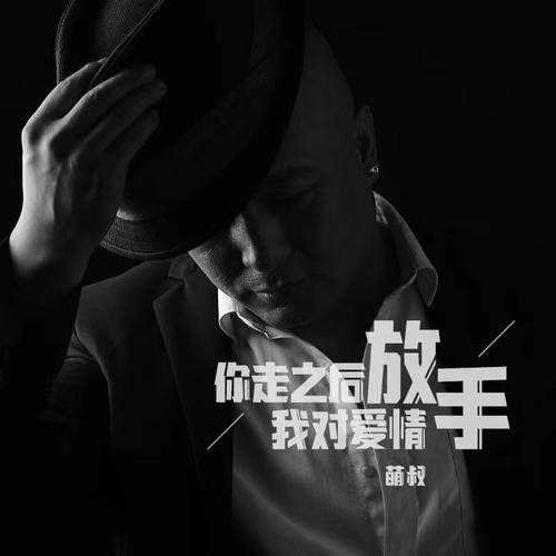 你走之后我对爱情放手的专辑