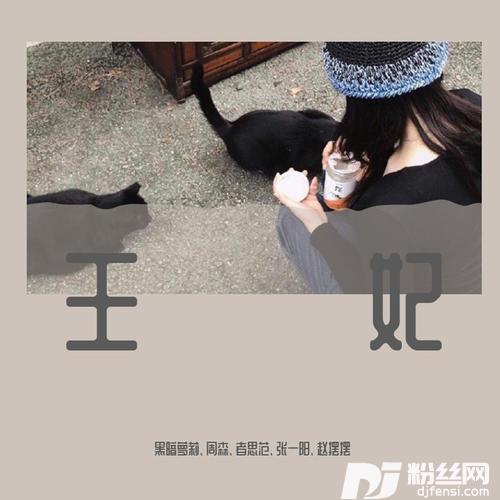 王妃DJ版