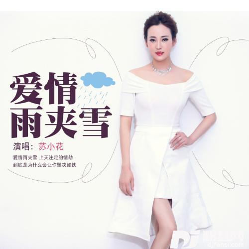 爱情雨夹雪DJ何鹏版的专辑