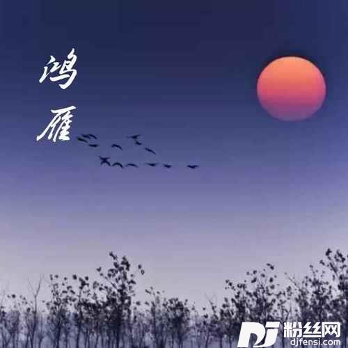 鸿雁DJ版