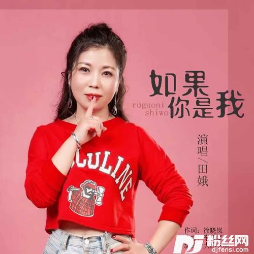 如果你是我DJ默涵版