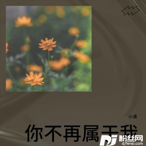 你不再属于我cover:晨熙的专辑