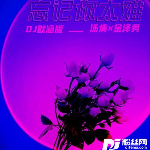 忘记你太难DJ默涵版