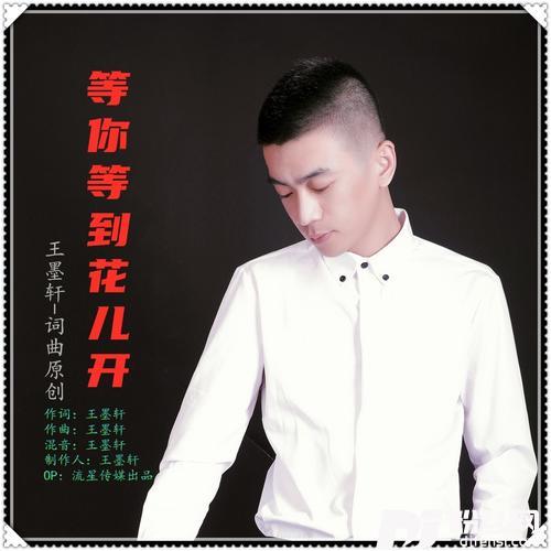 等你等到花儿开的专辑