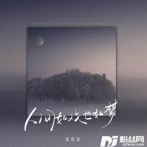 人间如戏也如梦DJ沈念版